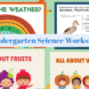 Kindergarten Science Worksheets