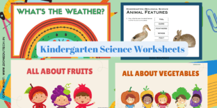 Kindergarten Science Worksheets